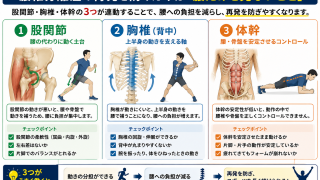 腰椎分離症の再発を防ぐには？｜股関節・胸椎・体幹をどう考えるか