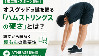 【帯広市・スポーツ整体】オスグッドの鍵を握る「ハムストリングスの硬さ」とは？論文から紐解く裏ももの重要性
