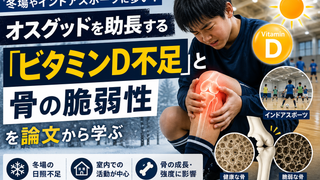 冬場やインドアスポーツに多い？オスグッドを助長する「ビタミンD不足」と骨の脆弱性を論文から学ぶ