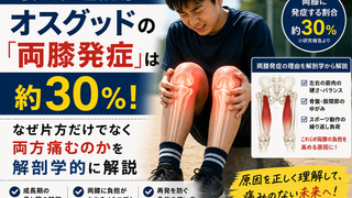 【帯広市の整体院】オスグッドの「両膝発症」は約30%！なぜ片方だけでなく両方痛むのかを解剖学的に解説